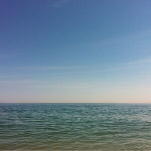 Meet your Posher, Shelby